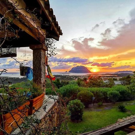 Villa Acchiappasogni Porto San Paolo  Exteriér fotografie